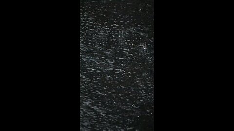 Daily Verse November 16th 2025