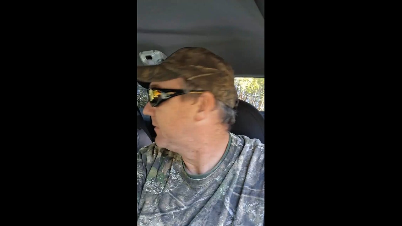 Hunting for Aberdeen Angus cattle.