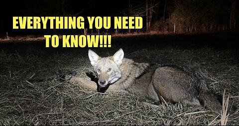 MY FAVORITE SETS FOR TRAPPING COYOTES!!!