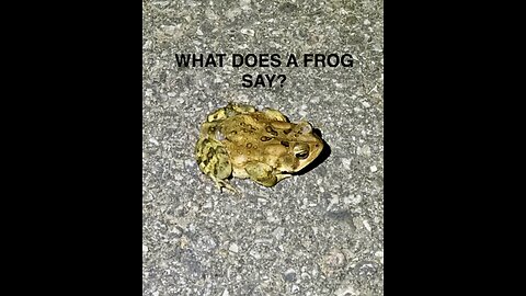 What Does a Frog Say? The Deafening Chorus of Virginia Peepers