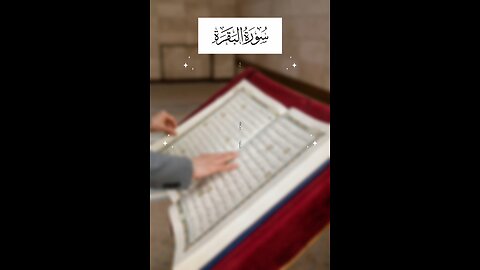 Follow if you love Allah / Surah Al Baqarah Ayat 100 #islam #quran #tafseer #viralvideos