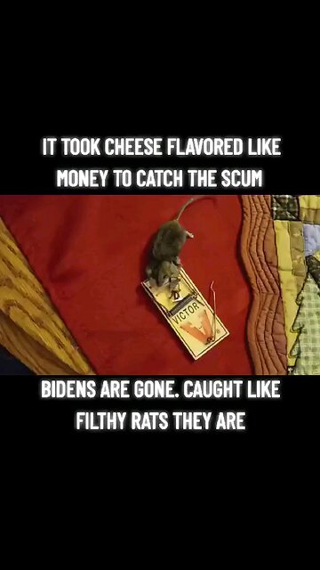 HOW TO CATCH A GREEDY DEM?