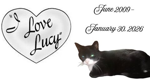 OutLawDogs LIVE! Ep. 203-I Love LUCY!