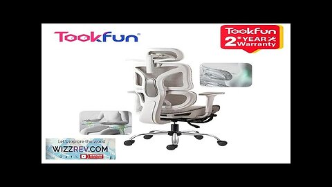 Tookfun Ergonomic Chair Waist Support Computer Gaming Seat Office Chair Lift Swivel Review