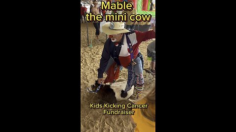 Come visit Mable, the mini cow, at the Kids Kicking Cancer Fundraiser.