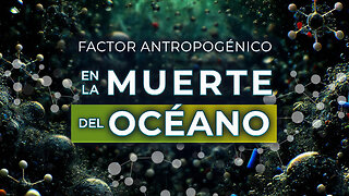 Factor Antropogénico en la Muerte del Océano | Documental de Divulgación Científica