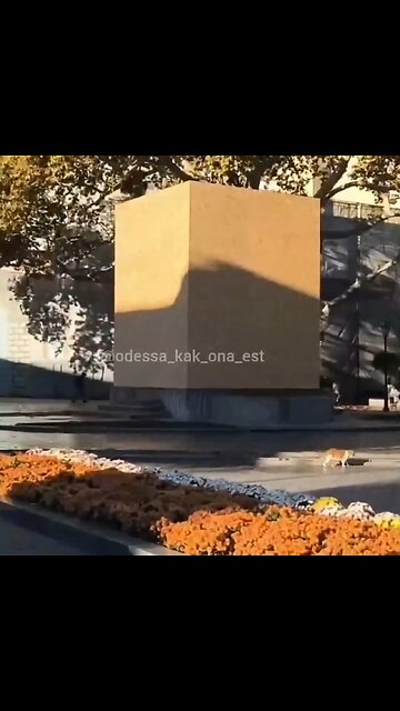 Cubren con tablones el monumento a Pushkin en Ucrania