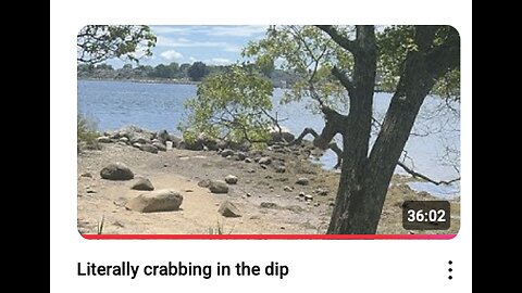 JM 20250526 Literally crabbing in the dip