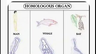 We have a common designer!!