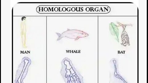 We have a common designer!!