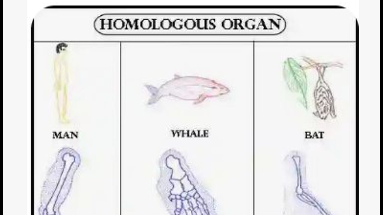 We have a common designer!!