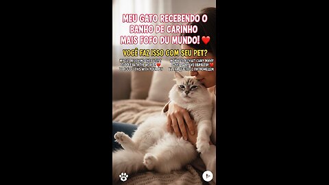 My Cat Getting the Cutest Bath in the World! ❤️ Do You Do This With Your Pet?