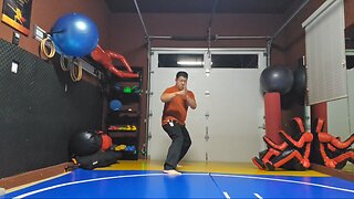 WTD 2 Step Kick Combination 192