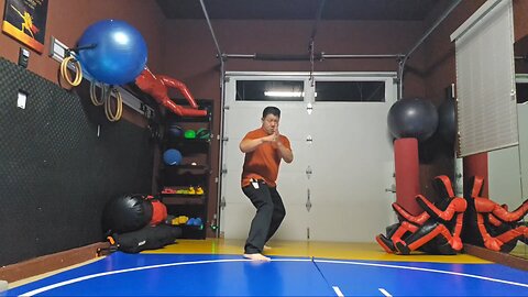 WTD 2 Step Kick Combination 192