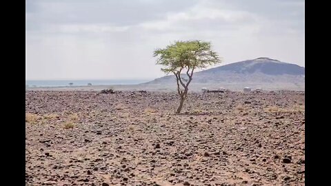 In addition to Iran and parts of Turkey, a severe drought has also hit Kenya