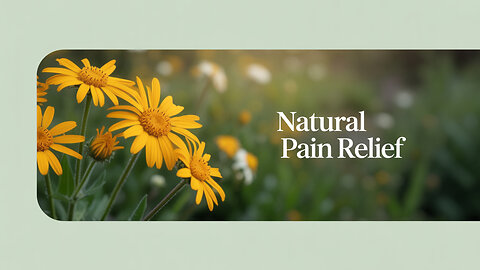 ArnicaThis Herb Can Soothe Your Achy Joints Fast!