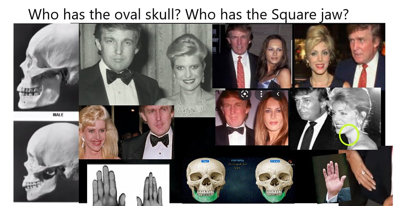 TRUMP TRANNY FAMILY ALBUM ( THE FUGLIES * )