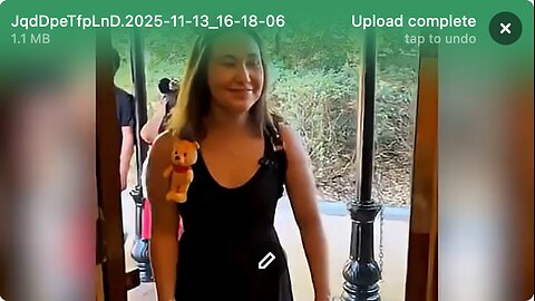 REPEAL THE 19TH AMENDMENT