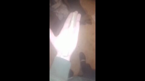 fatass joint