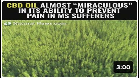 CBD oil almost “miraculous” in its ability to prevent pain in MS sufferers