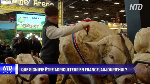 « Les agriculteurs vont arrêter, demain on va manquer de viande et de lait. » - Une agricultrice