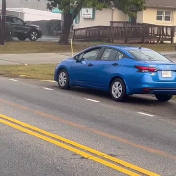 Proof that people are sheep! 🤣