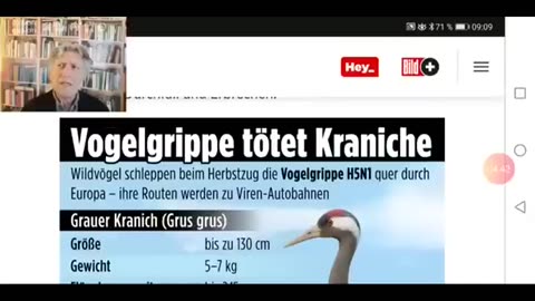 Gerhard Wisnewski - Vogelwild - Ist die Vogelgrippe gefährlich (re-up)