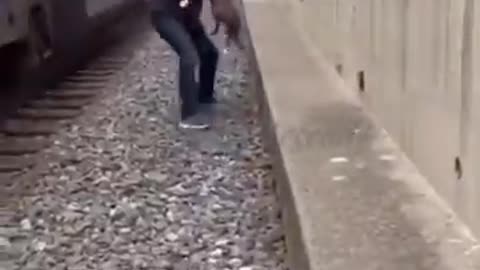 Saving a dog from an incoming train❤️