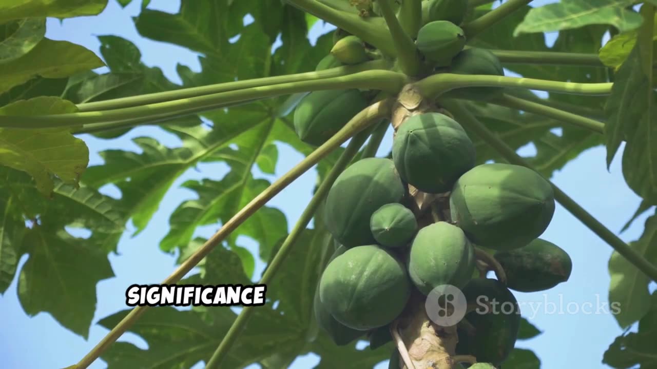 Here are some unique facts about papaya fruit