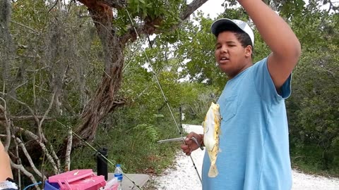 Puffer Fish