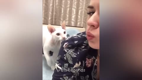 Moments When Animals Proved They’re Even Dumber Than Us Humans! 🤦‍♀️