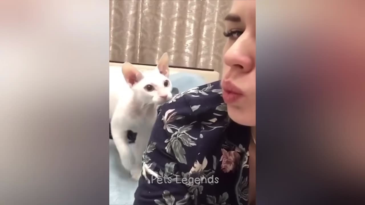 Moments When Animals Proved They’re Even Dumber Than Us Humans! 🤦‍♀️