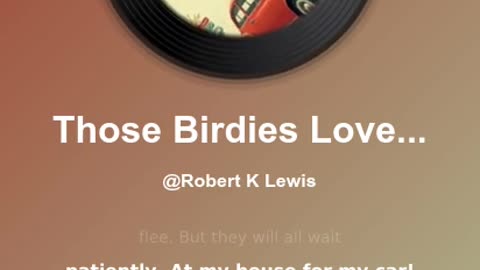 Those Birdies Love My Car