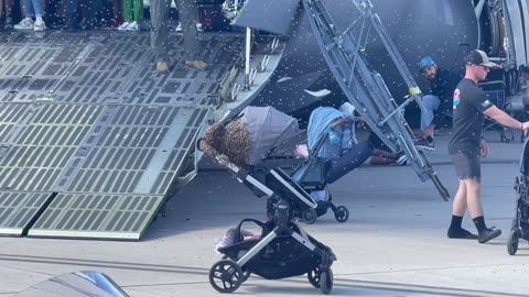 Bees Swarm a Baby Stroller