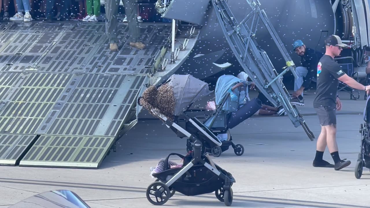 Bees Swarm a Baby Stroller