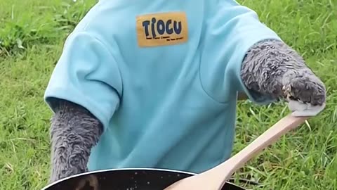 Dare To Try This Crazy Egg And Ham Trick🤪🍳 #funnycat #catmemes #trending