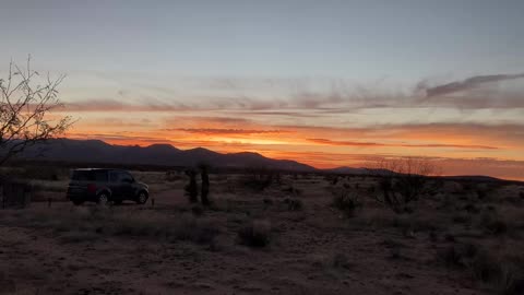 Greenhouse dome pig attack desert homestead