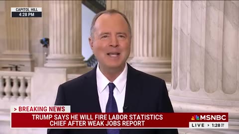 Schiff Goes Live on MSNBC to Blast Trump for Terrible Jobs Report