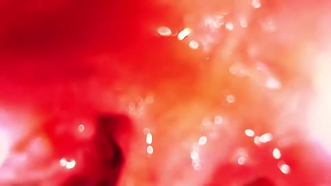 Blonde Giantess vore POV - Giant woman eat tiny man