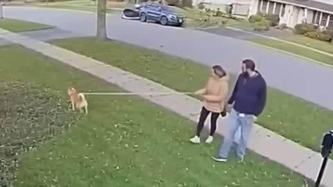 😱 Final Destination Fails: This Takes It to a Whole New Level! | FunFM