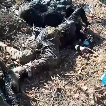 Ukraine war combat footage 12/24/24