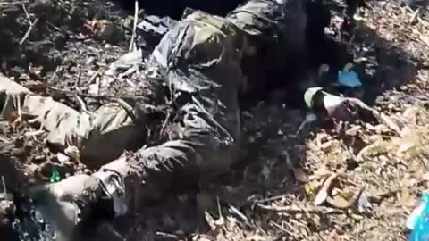 Ukraine war combat footage 12/24/24
