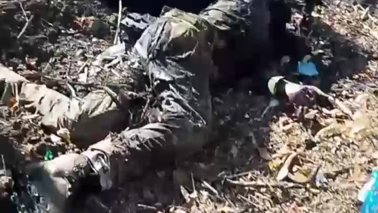 Ukraine war combat footage 12/24/24
