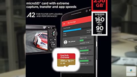 SanDisk 256GB SDXC Micro Extreme Memory Card Works with DJI Osmo Pocket Gimbal C