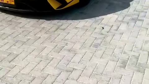 💎🏎️ The Most STUNNING Bentley Interior You'll See! | LuxurySportsCars