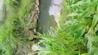 Broken sewer infrastructure in Durban