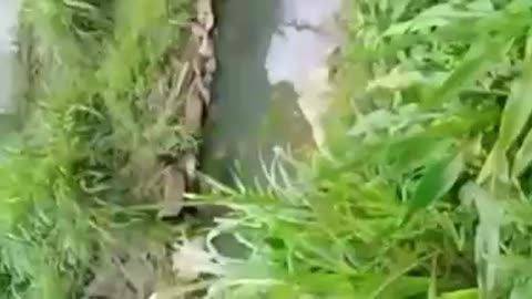 Broken sewer infrastructure in Durban