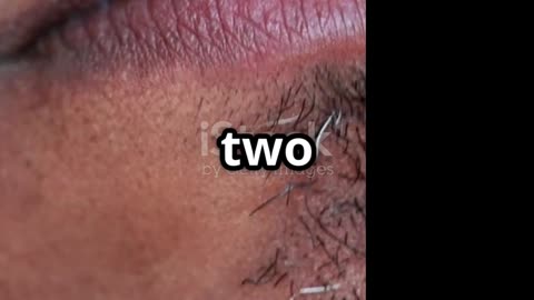 Today Wordle Answers 🎮 | Solve the Daily Wordle Puzzle Now