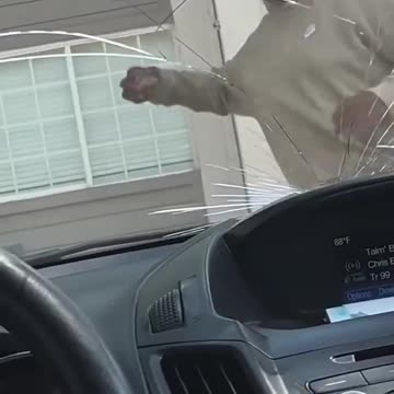 Diversity doing low IQ things