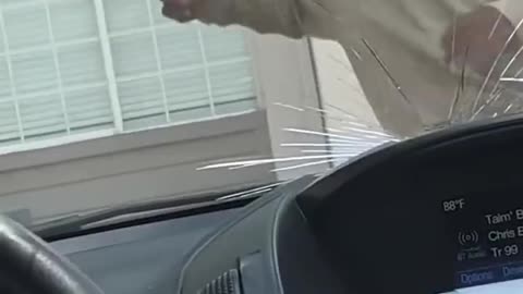 Diversity doing low IQ things